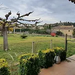 Carbó