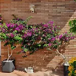 Apartamento Carbó